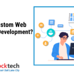 What is Custom Web Application Development?