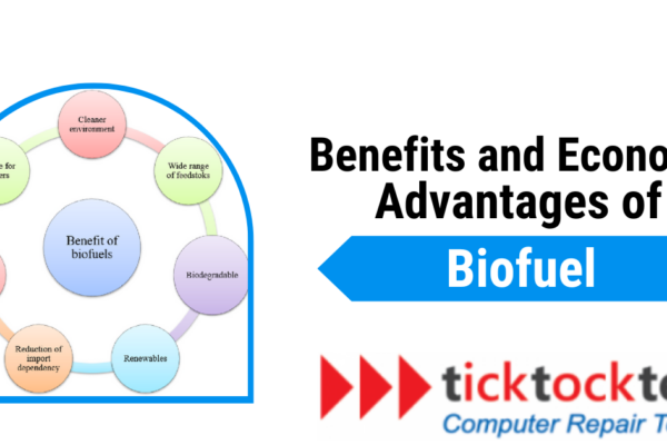 Benefits and Economic Advantages of Biofuel