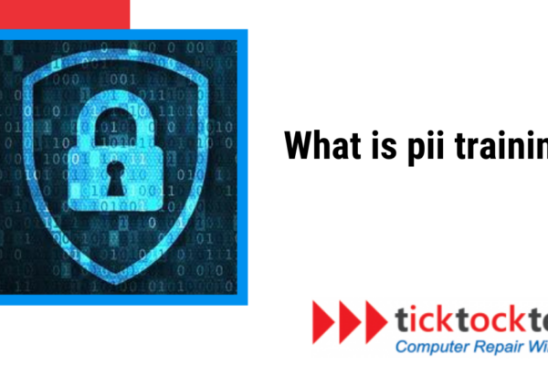 What is Pii Training? - A Guide to Personally Identifiable Information Training