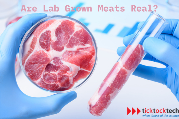 Is Lab-Grown Meat the Future of Food? Exploring the Possibilities and Challenges
