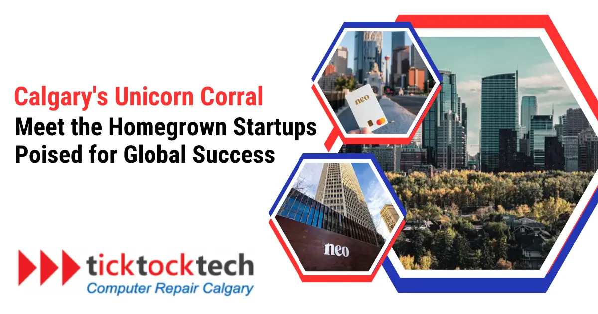 6 Calgary Homegrown Startups Poised for Global Success in 2024