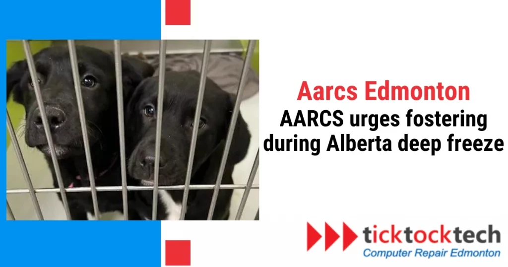 Aarcs Edmonton, AARCS urges fostering during Alberta’s deep freeze.