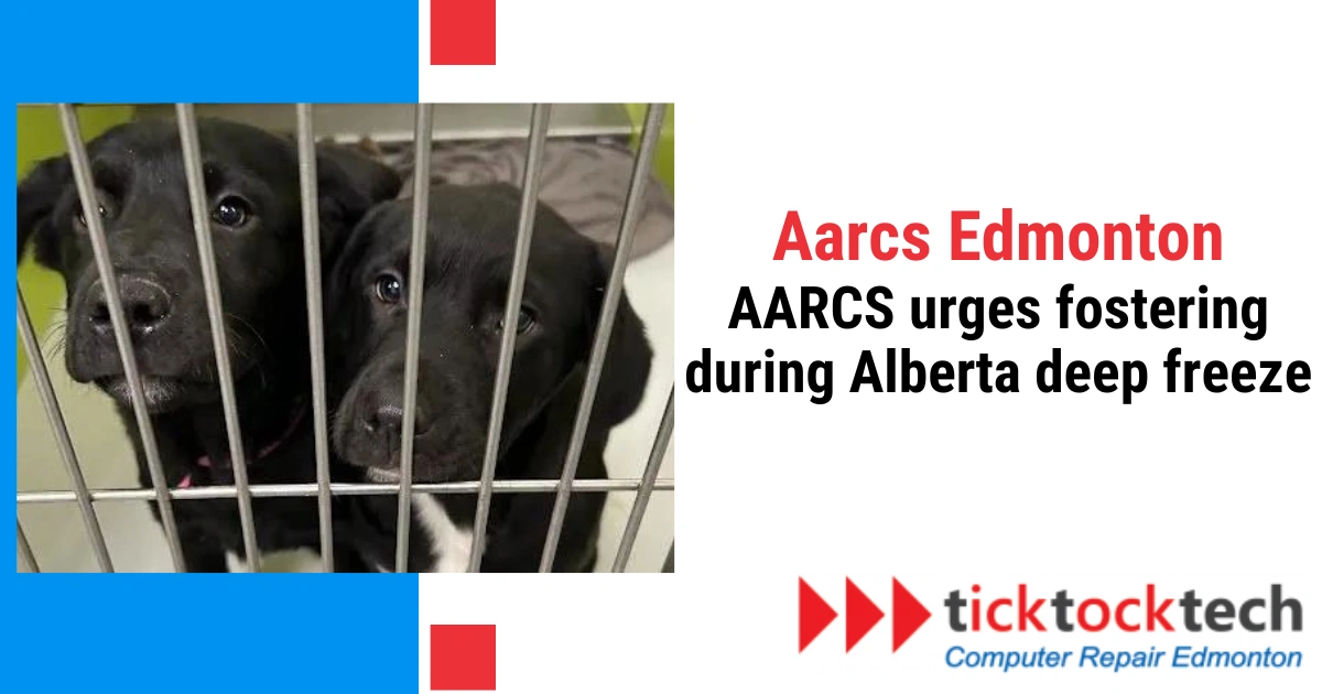Aarcs Edmonton, AARCS urges fostering during Alberta’s deep freeze.
