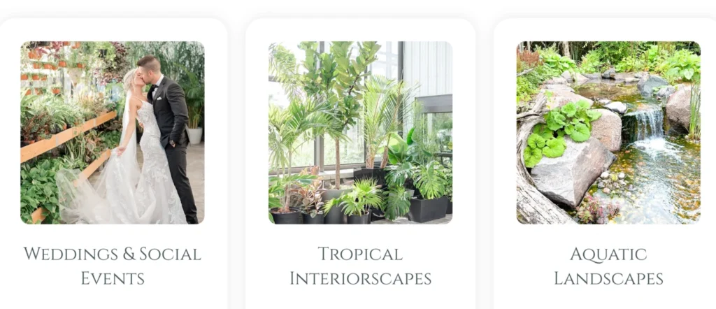 Aquatopia Ottawa: Aquatopia Water Garden Conservatory