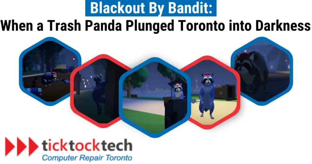 Blackout by Bandit: When a Trash Panda Plunged Toronto into Darkness